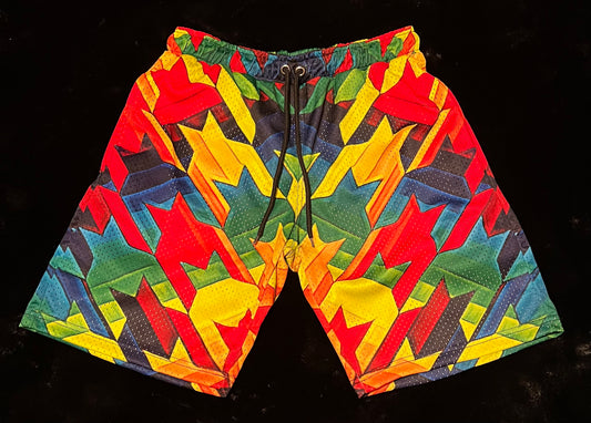 Funkadelic print Shorts